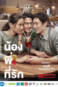 Brother Of The Year น้อง พี่ ที่รัก (2018) ดูหนังไทยเสียงชัดไม่กระตุกฟรี