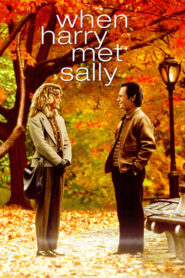 When Harry Met Sally เพื่อนรักเพื่อนเลิฟ (1989) ดูหนังชีวิตปนตลกภาพชัดไม่กระตุกฟรี