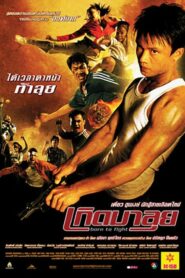 Born To Fight เกิดมาลุย (2004) ดูหนังออนไลน์24ชม.ฟรี