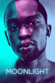 Moonlight มูนไลท์ ใต้แสงจันทร์ ทุกคนฝันถึงความรัก (2016) ดูหนังออนไลน์ภาพชัดเสียงดีฟรี