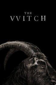 The Witch เดอะ วิทช์ (2015) ดูหนังออนไลน์เต็มเรื่อง