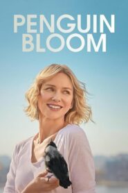 Penguin Bloom เพนกวิน บลูม (2021) ดูหนังออนไลน์เต็มเรื่อง