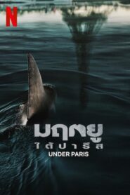Under Paris มฤตยูใต้ปารีส (2024) เมื่อฉลามมาอยู่กลางกรุง